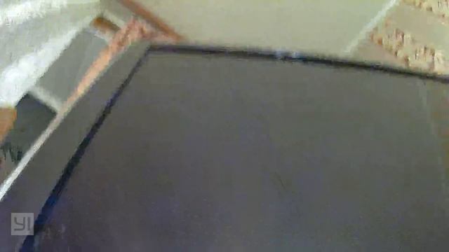 Сфинкс кошка смотреть онлайн