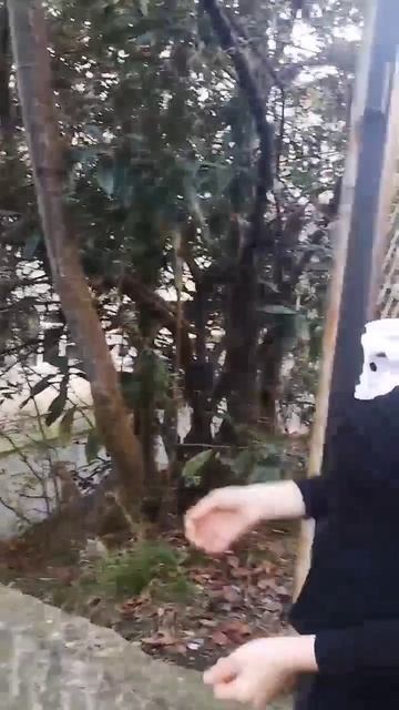 помидорки 🍅🍅🍅 смотреть онлайн