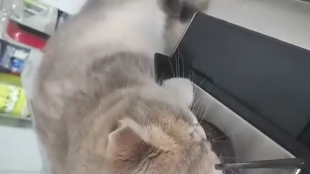 Чтобы не пропустить еду смотреть онлайн