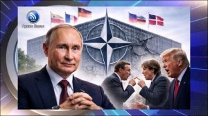 Неожиданный подарок Путину:  кое-что в НАТО может измениться — и это сыграет на руку России