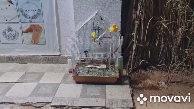 Второй день 🏝 в Хургаде смотреть онлайн