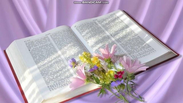 1часть. НАСТАВЛЕНИЕ ИЗ КНИГИ ТОВИТА В БИБЛИИ ПОДХОДЯЩЕЕ ИСТИННОВЕРУЮЩИМ ДЛЯ ВСЕХ ВРЕМЁН ! смотреть онлайн