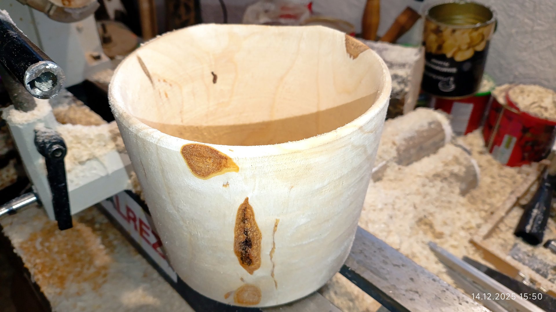 большая баклаха для кактуса из свежей сырой комель берёзы точу на токарном станке обучаюсь смотреть онлайн