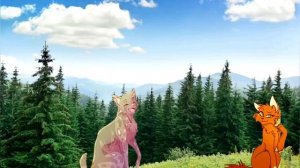 Прикол (замужем) с Белкой, Угольком и Ежевикой