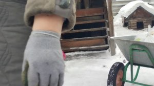 Жизнь в деревне на пенсии.🏚️🏠Чищу дорожки от снега,колю дрова.Деревенские дела никто не отменял.🤣