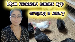 Курочки и огород Рождество