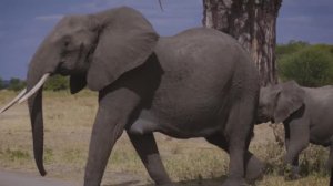 КРАСИВАЯ ПОТРЯСАЮЩИЕ МУЗЫКА ДЛЯ ДУШИ ЭТО НЕВЕРОЯТНО МОЖНО СЛУШАТЬ ВЕЧНО