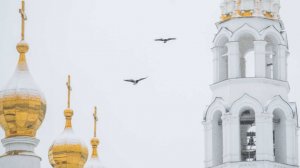 Путин: радость Рождества разделяют с православными верующими и другие конфессии