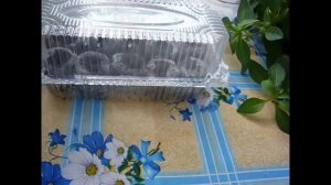 2110. (2026г) Посев баклажанчиков в таблетки. ВПЛ.