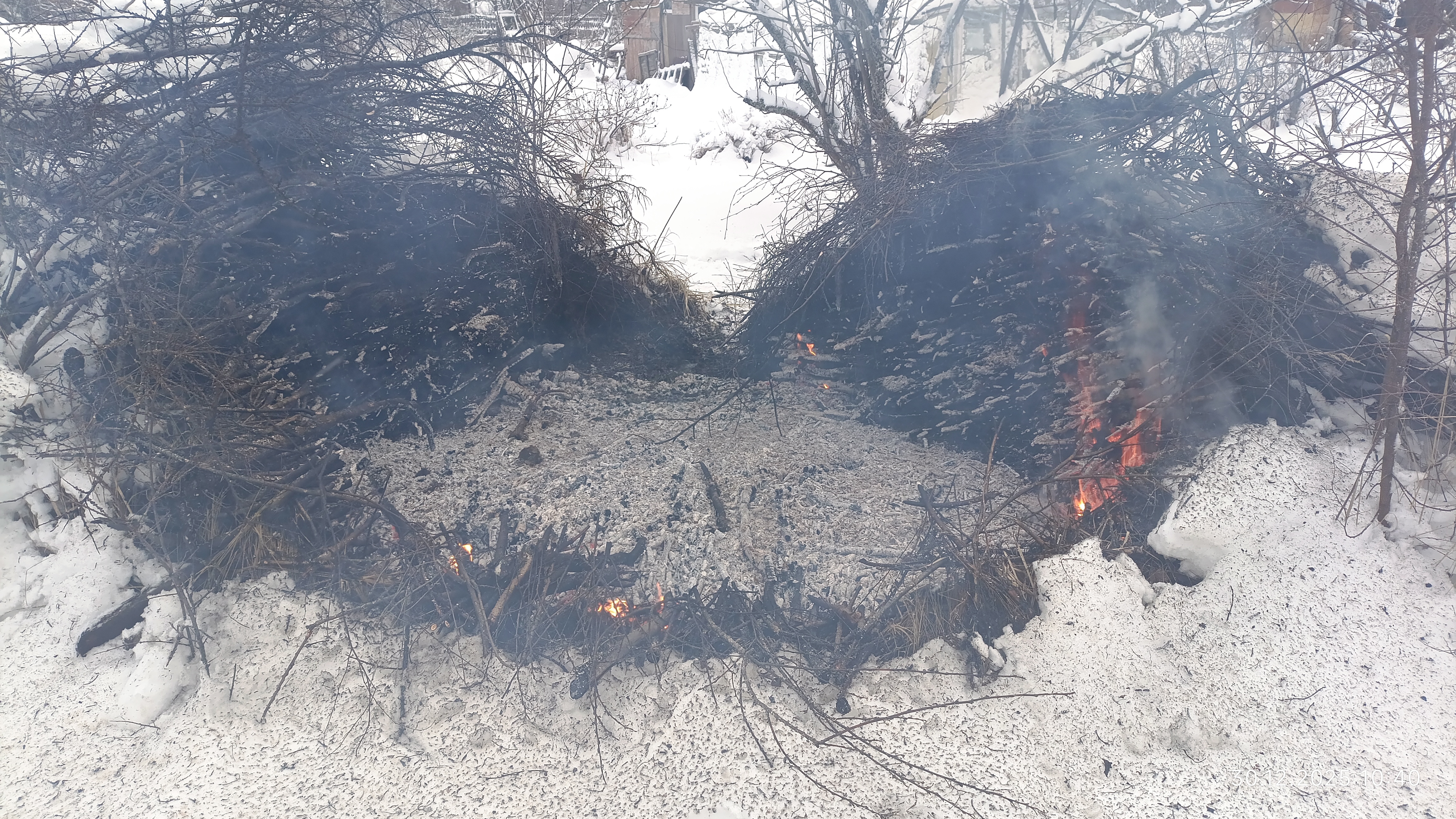 новогодний красный петух прилетел и на кучу веток сел приземлился спел и улетел смотреть онлайн