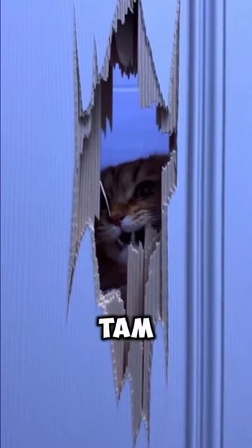 Время поесть! 😂 смотреть онлайн