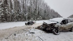 Два человека погибли и три пострадали в ДТП в Костромской области