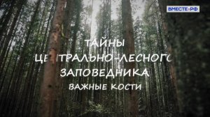 Тайны Центрально-Лесного заповедника
