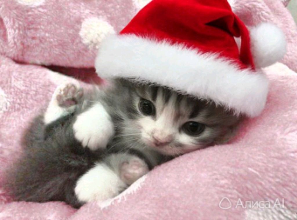 Вкусняшка из маменого детства смотреть онлайн