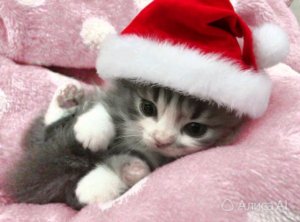 Вкусняшка из маменого детства