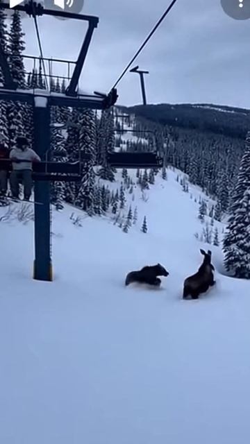 #shorts погоня смотреть онлайн