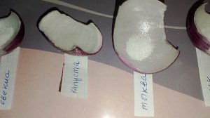 🔮 Гадание на урожай 2026: что скажет судьба? 🌾✨