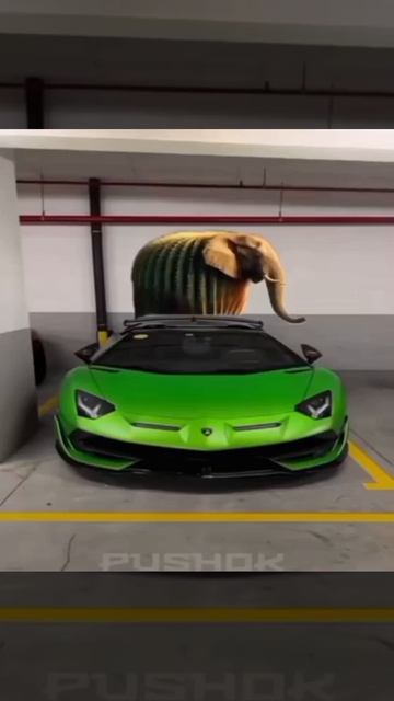 ЭДИТ смотреть онлайн