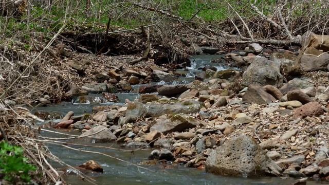 Сердце уссурийской тайги. Фестиваль геобрендов «Земля открытий» смотреть онлайн