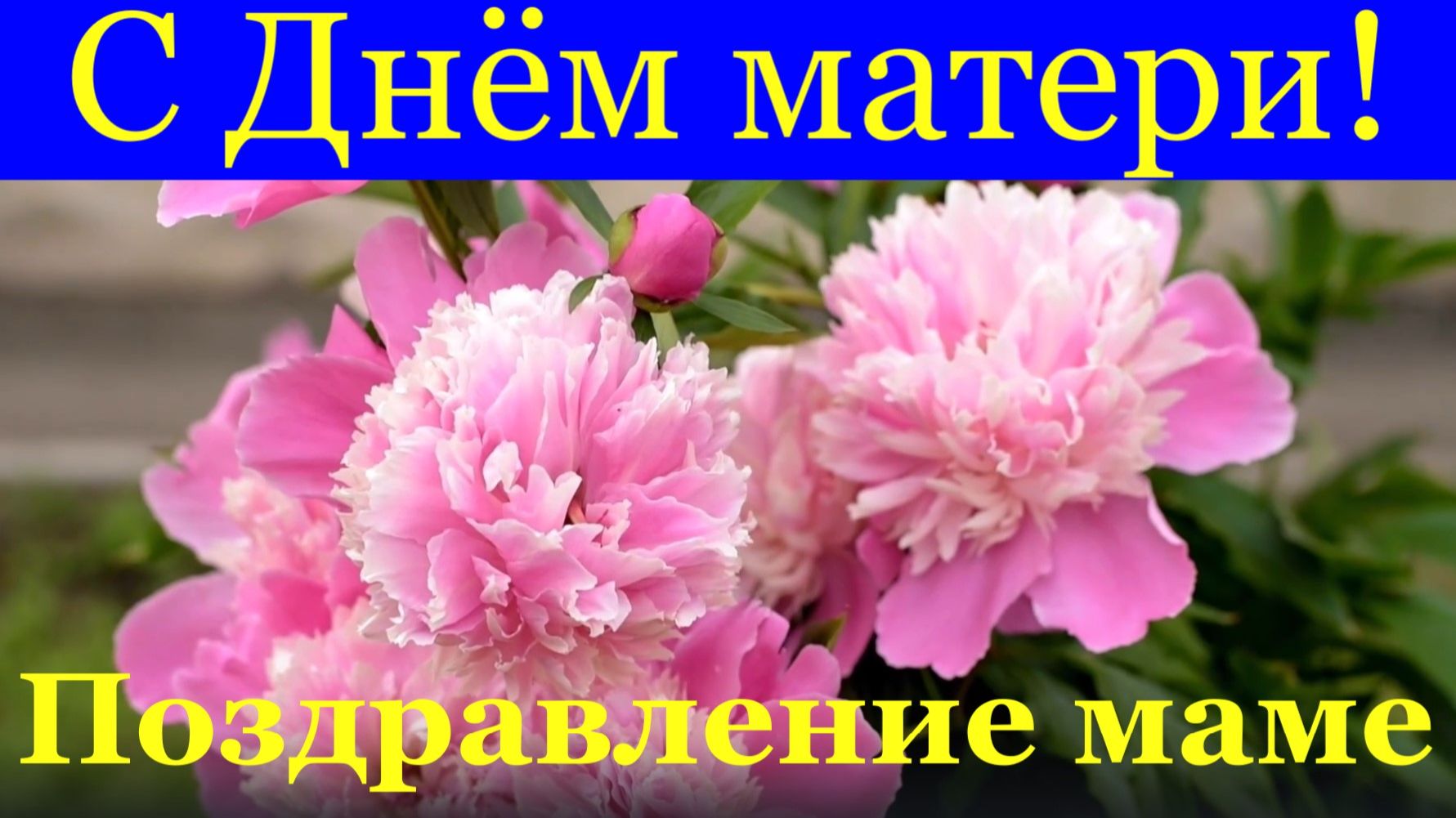 Поздравление маме от сына в День матери! С Днём матери! смотреть онлайн