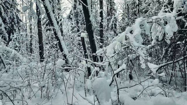 Александровский парк