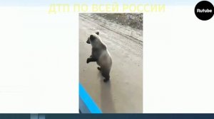 ПОДБОРКА ДТП И АВАРИЙ С ВИДЕОРЕГИСТРАТОРА ЗА ЯНВАРЬ 2026 06.01.26