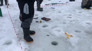 поимки форели на ратлин