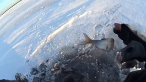 6.1.26. Финский залив. Рыбалка в Сестрорецке.