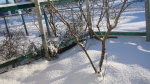 "Я мороза не боюся" 🎠🎠🎠💞😉❤️🫶