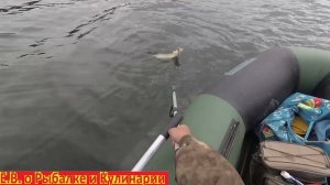 СПИННИНГ В ДУГУ НЕУЖЕЛИ КОРЯГА, НЕТ  ПОЙМАЛ ГИГАНТСКУЮ  ЩУКУ.