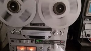 Стой, тварь, стой!