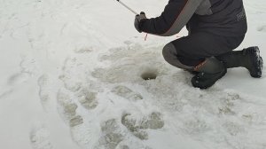 Основной водоём. Жёлтый сыр.