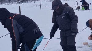 сёмкина 2 в комаровке