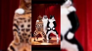 Танцующие кошки и собаки,созданные ИИ.