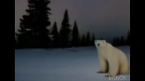 йуйуйууууййуйййуууууйууууу
медведь 2026