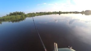 Ловлю щуку в деревенском пруду