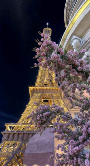 всех с рождеством!!!! 
✨крашусь/удиляю врямя для ухода/трансляция✨