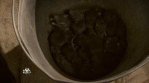 В одной руке граната, а в ведре с мышами кольцо от нее. Тренировка разведчицы как не боятся