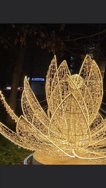 новогодние стрекозы, дождинки и гирлянды на красной улице Краснодар смотреть онлайн