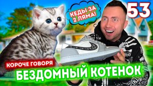 От первого лица: Я БЕЗДОМНЫЙ КОТЕНОК 53 - 5 лет спустя