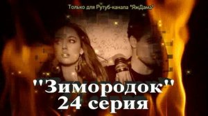 Впечатления от 24 серии турецкого сериала "Зимородок"