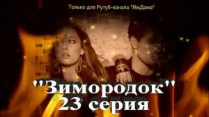 Впечатления от 23 серии турецкого сериала "Зимородок"