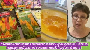 Изменила отношение к жизни и появилась куча времени. Желе из мандаринов, салат из печени минтая