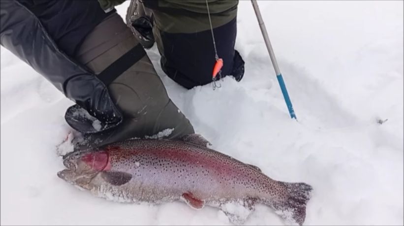 Поимки, сходы, обрывы. Нижний пруд. Клёвое место Лосиный остров. смотреть онлайн
