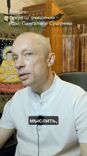 Невежество Мира Животных и Дэвов смотреть онлайн