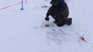 VID_20260108_121808_597