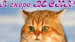 СП Вязальный переполох А скоро Весна с Еленой Велиной Вступление