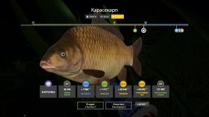 ЛЕГЕНДАРНАЯ РАЗДАЧА НА МЕДНОМ И НОВЫЙ ФАРМ НА ЯМЕ С КВЕСТАМИ В РУССКОЙ РЫБАЛКЕ 4 РР4