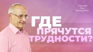Законы, которые помогают справиться с трудностями жизни (Торсунов О. Г.)