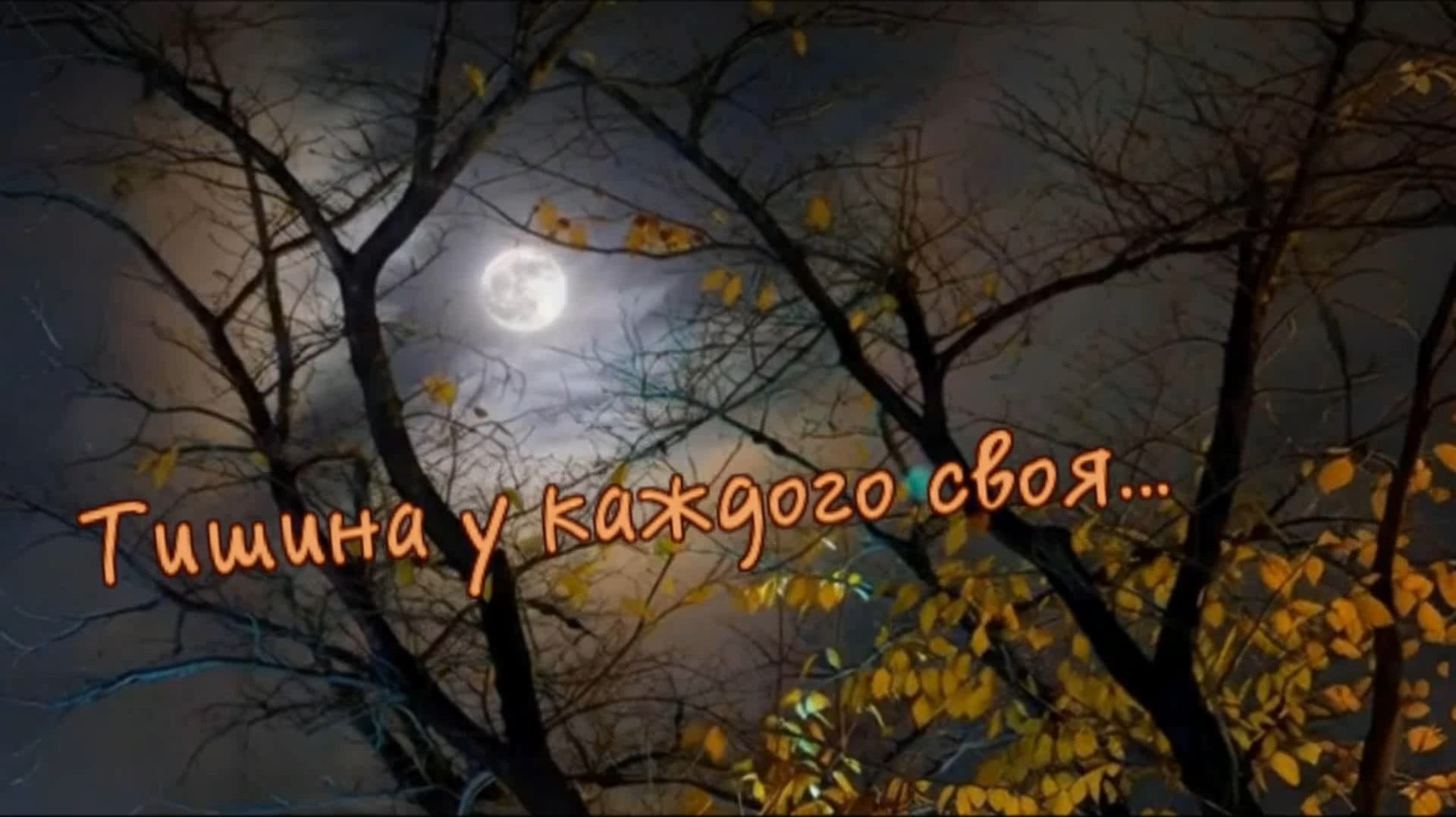 Шансон ДУШИ - Тишина у каждого своя... смотреть онлайн